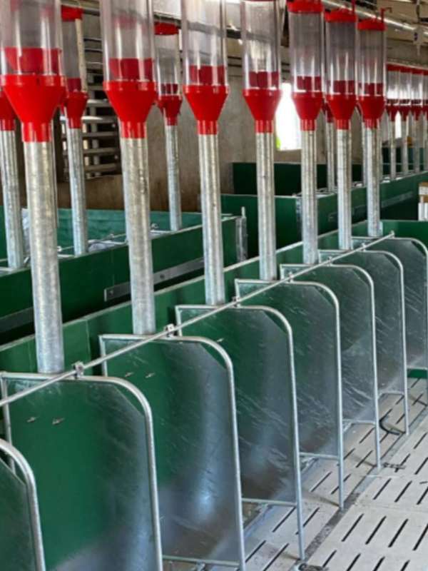 Tolvas automáticas de pienso